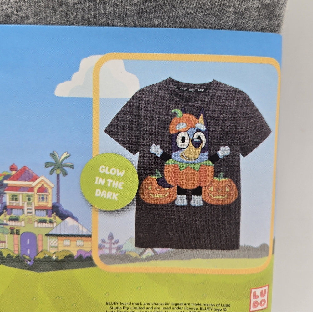 Bluey Unisex Pumpkin Halloween T-Shirt Gray 8 - Picture 6 of 7